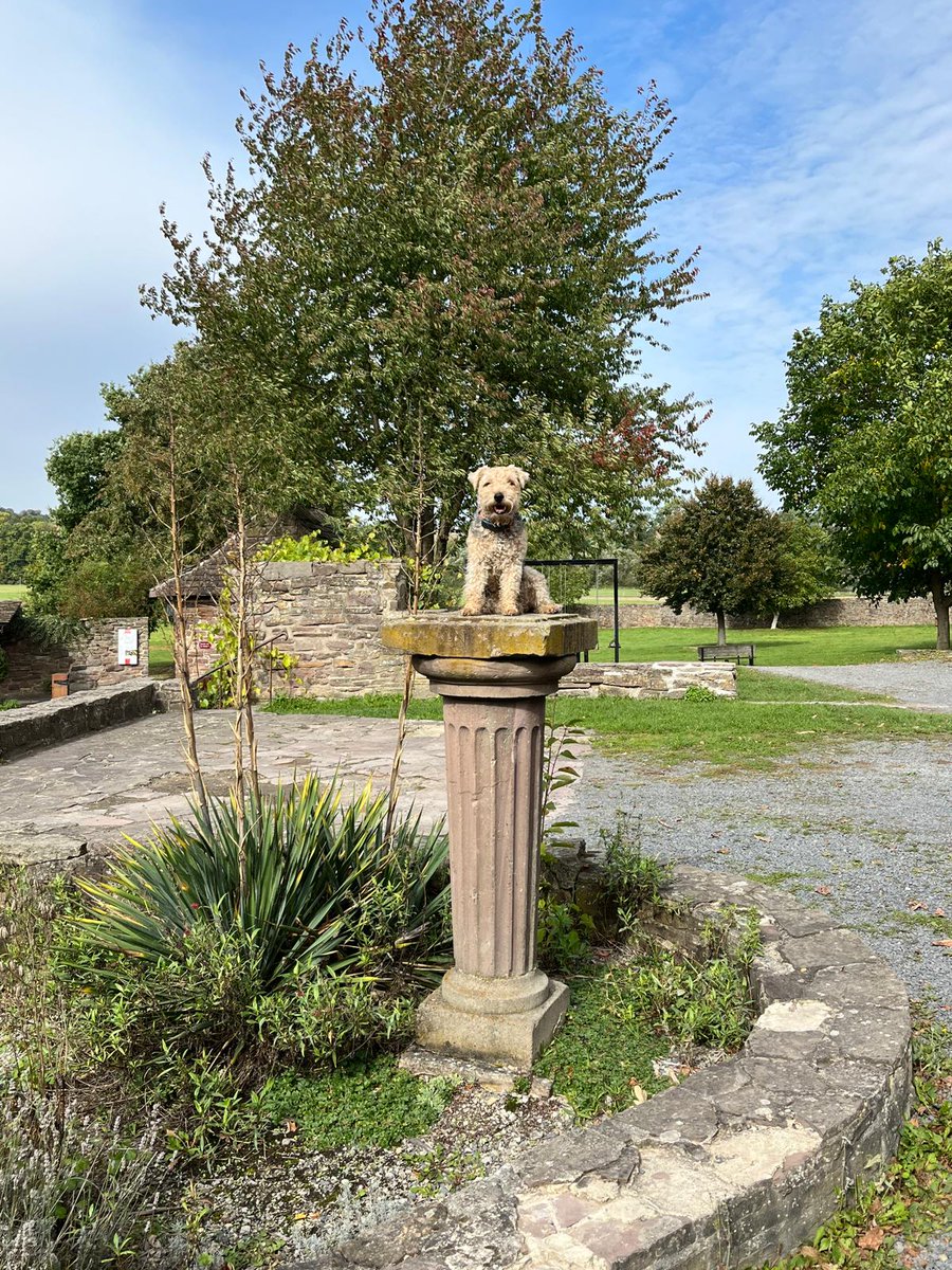 Hi pals, how are you ?