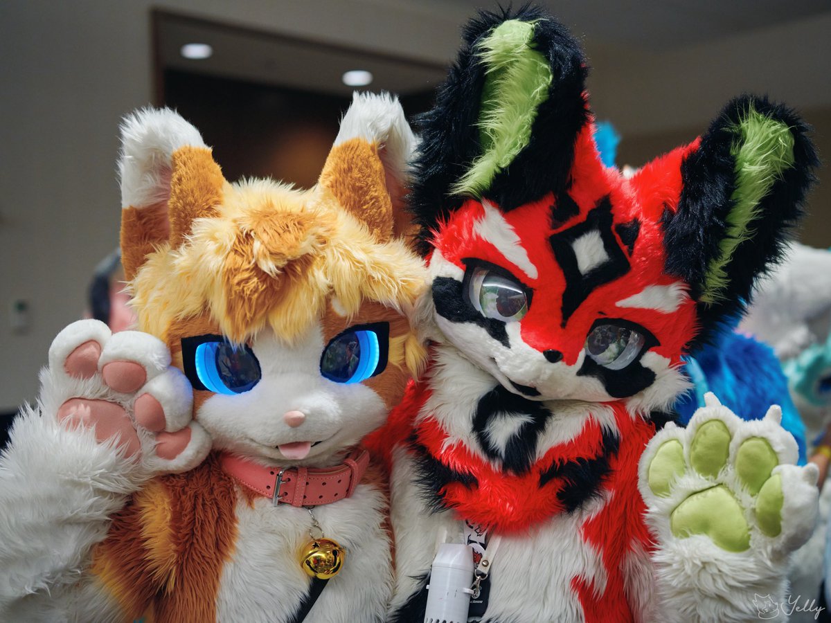 Future_Terminal's tweet image. Meow

#FursuitFriday 

⬅️💛：@Kitzen_Waffles 
📷：@yellyXP