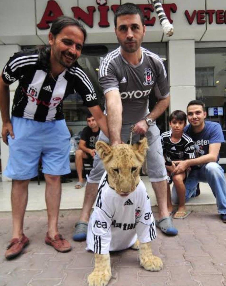 Beşiktaş Pics tweet media