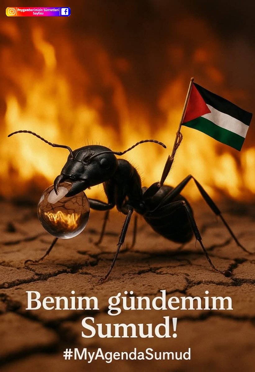 ertan_ergin's tweet photo. Benim gündemim SUMUD
Safım belli, kararım net

#MyAgendeSumud 
#SumudFlottilla
#FreePalestine #SumudFlottilla 
#GlobalSumudFlotilla
Nehirden Denize Özgür Filistin 🇵🇸 israil
#AblukayıKır 9 Türk
#FreePalestine
Bekir Develi https://t.co/6dJJeybJkJ