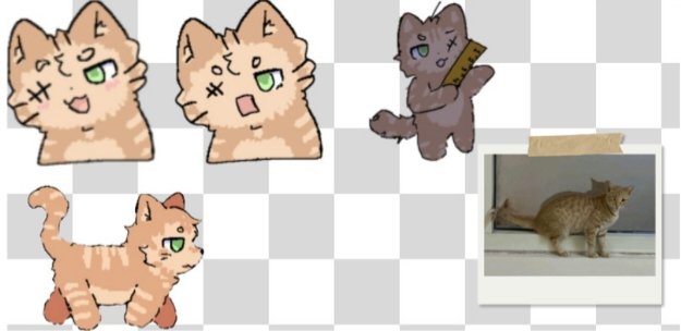 ℛ.𝒜𝓁𝓈𝒽𝒶𝓇𝒾𝒻 tweet media