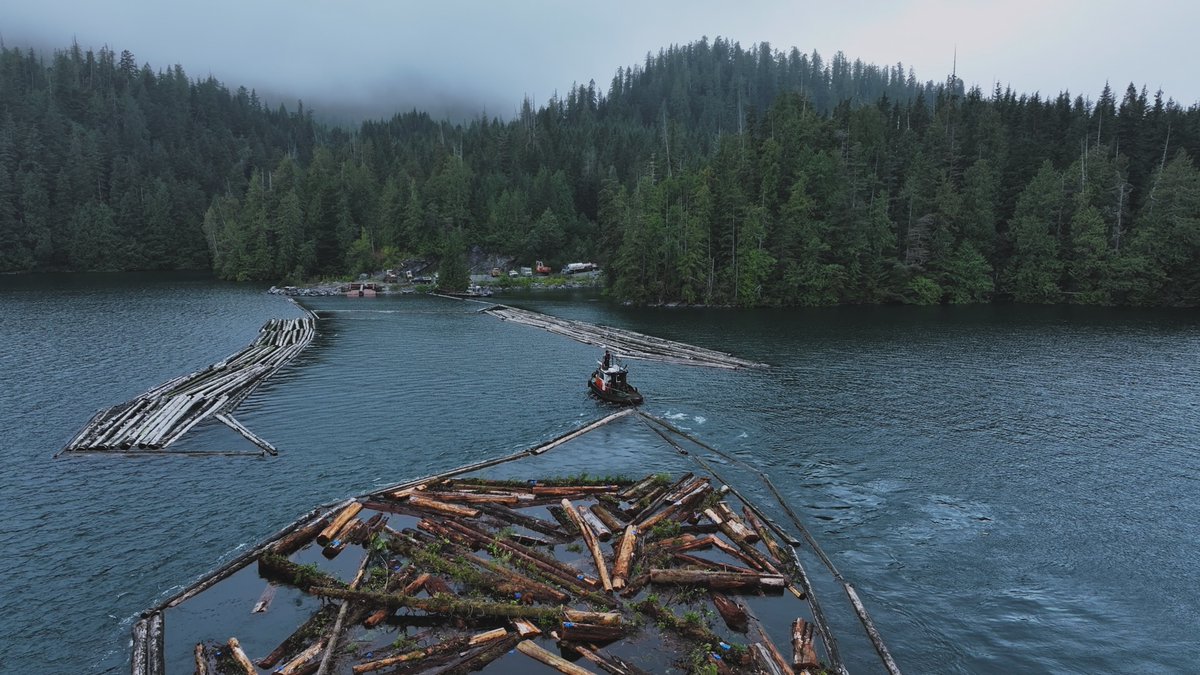 The Weather Channel Originals tweet media