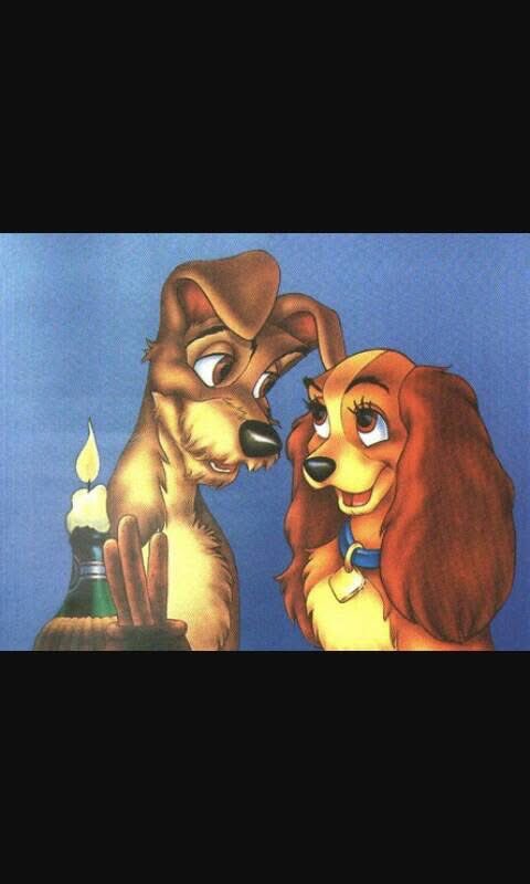 <a href="/Lilliflo/">lilliflo'</a> Buona serata Lilly
“Non c’è niente da fare
in due la notte è più bella”
Baciuzzi 😘😘😘😘