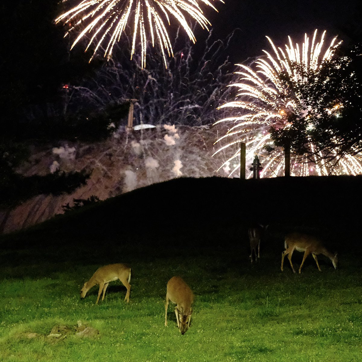 homeiswhereband's tweet image. enough time has passed