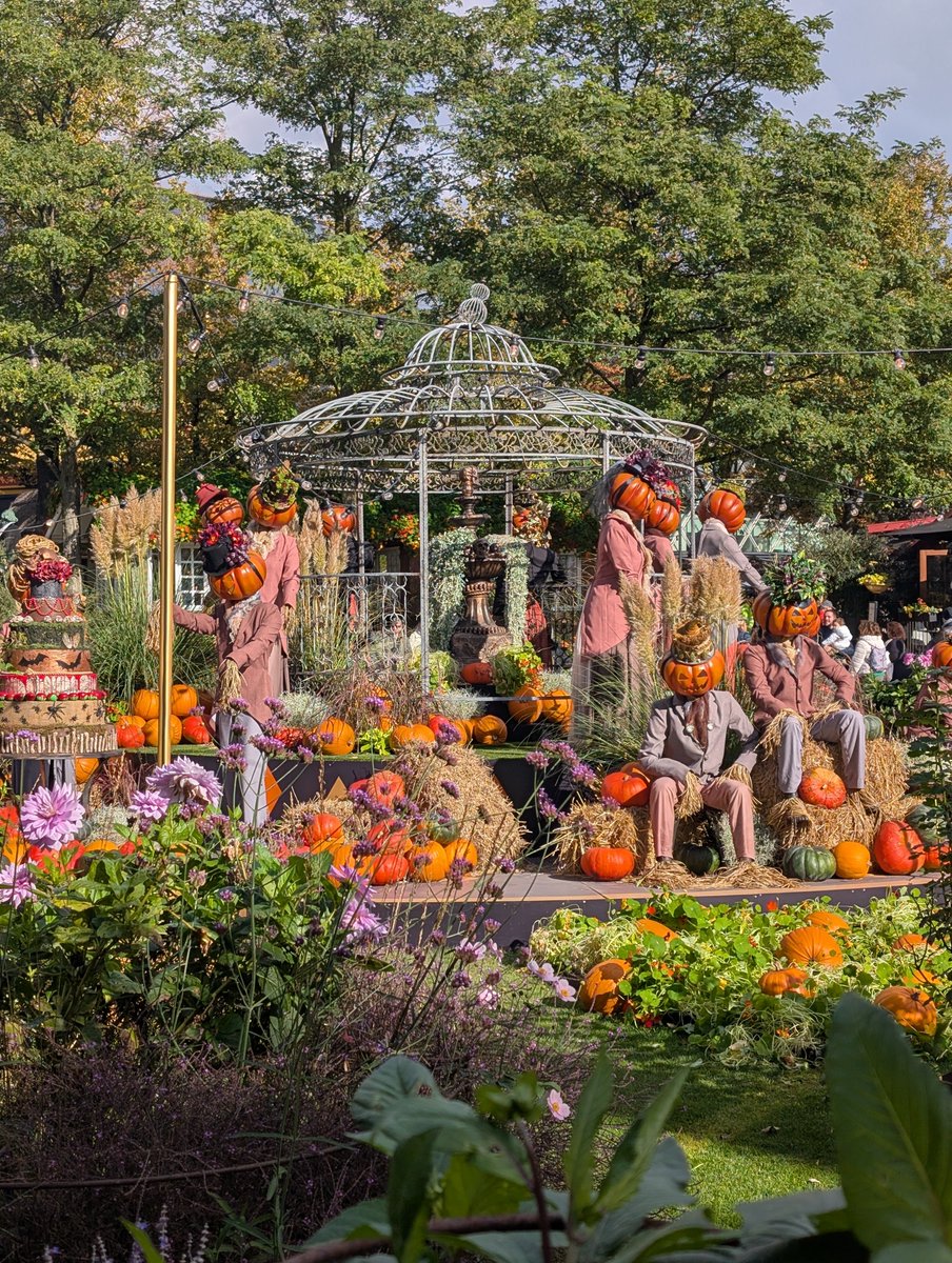 Mrs Whathefucksit tweet media