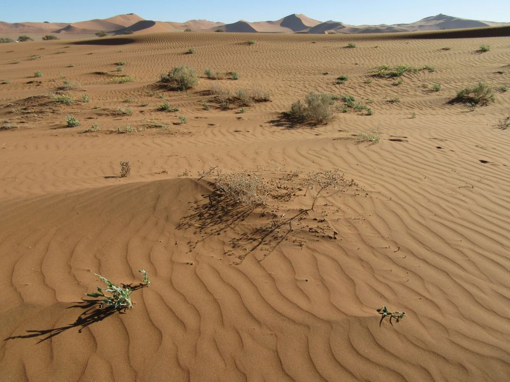 "SM2RAIN-ASCAT Dataset for Drought Monitoring in Morocco" by Said EL GOUMI et al. finds satellite rainfall data highly effective for drought detection, especially in arid zones. Supports climate resilience and water management efforts.  
spkl.io/6012Apsz0 #Drought #Climate