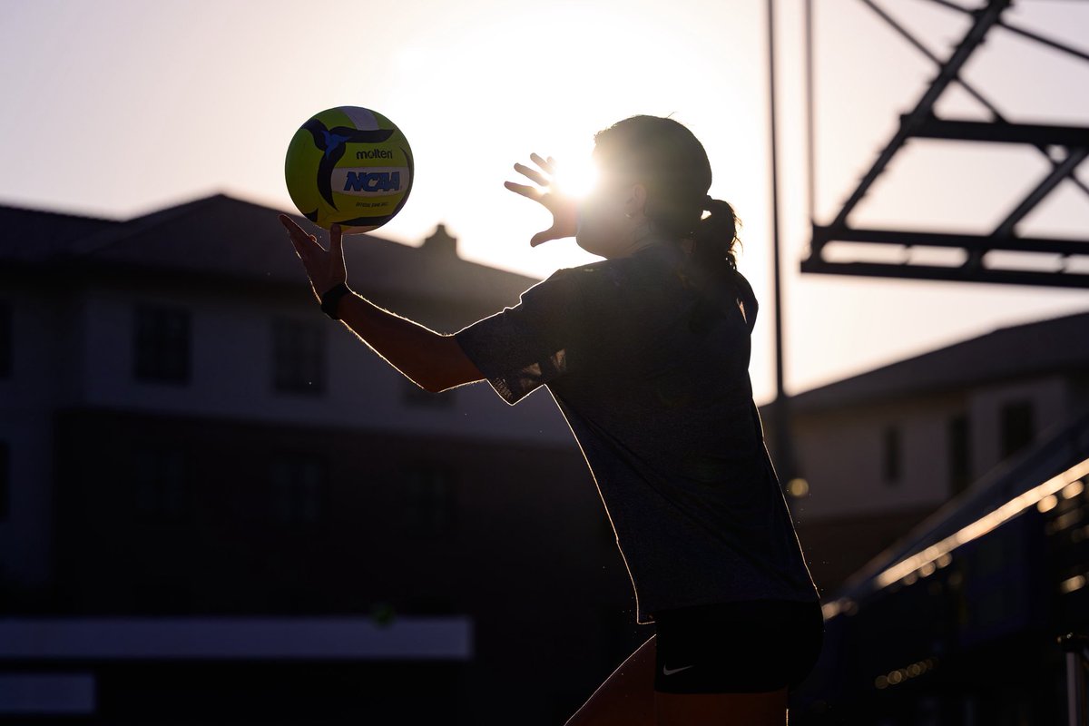 LSU Beach Volleyball tweet media