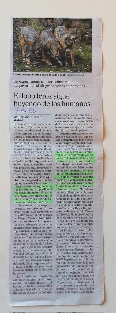 JorgeRiechmann's tweet photo. Los mayores depredadores -leones, lobos- nos tienen un miedo cerval a los humanos... ¿Repensaremos nuestra relación con la naturaleza? https://t.co/utrX8aVCiC