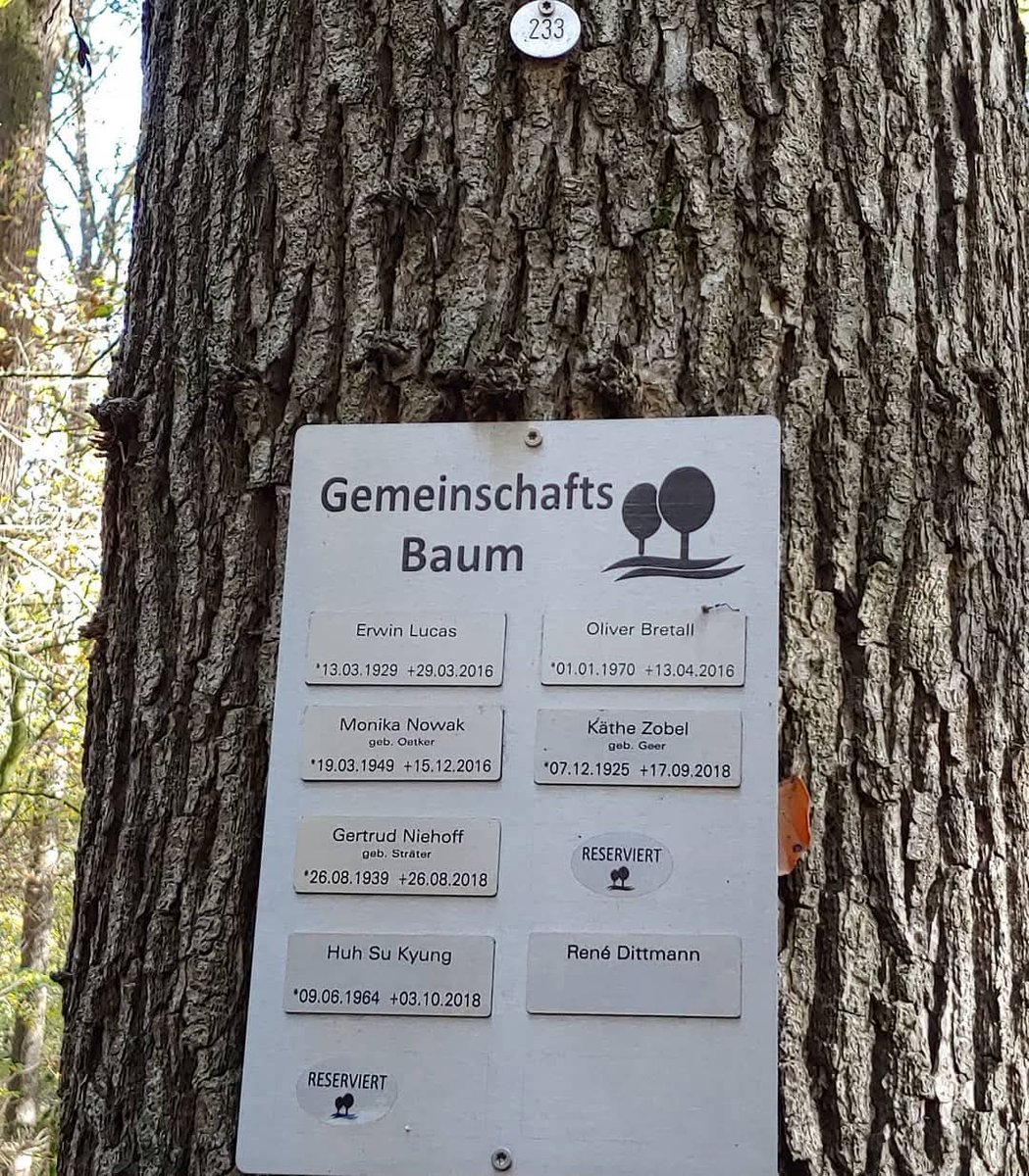 10월 3일은 허수경 시인 기일이다.
독일 언니 나무에서 떨어진 도토리를 
파주 어딘가에 심겠다 안고 왔는데
아직 마련하지 못했다.
땅이 없는 걸까, 마음이 없는 걸까,
그중 돈이 없는 것만은 분명하여서
내년에는 언니의 나무를 가질 정도로만
여유가 생기면 좋겠구나 하였다.
언니, 잘 지내고 있지?