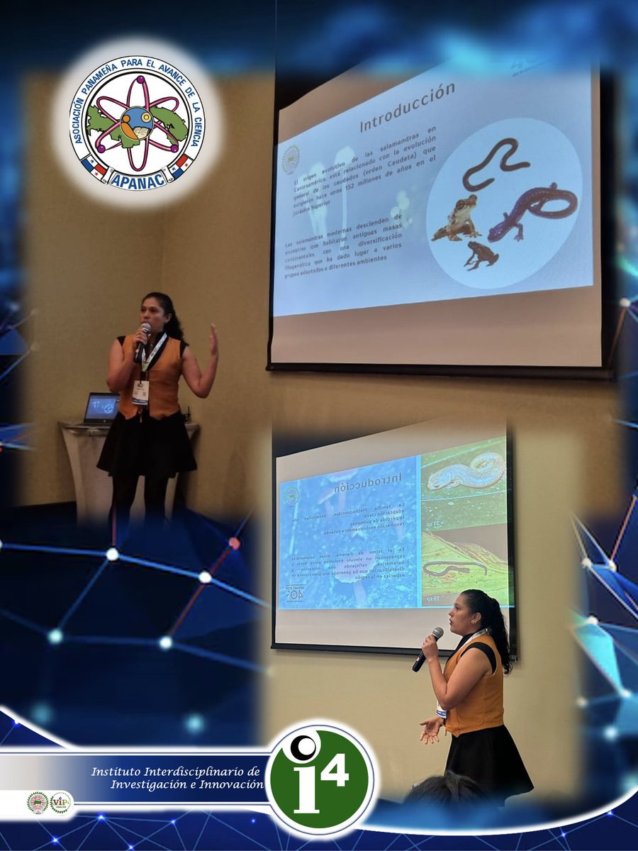 Científicos del Instituto Interdisciplinario de Investigación e Innovación i-4 presentan sus investigaciones en <a href="/CongresoApanac/">Congreso Apanac</a> 
Michelle Quiróz: "Las Salamandras de Panamá: Un estudio enfocado en la Bolitoglossa magnifica" <a href="/UNACHIpanama/">UNACHI</a> <a href="/senacyt/">Senacyt Panamá</a> <a href="/CienciaPTY/">Ciencia En Panamá   #CienciaEnPanamá</a> <a href="/MiAmbientePma/">Ministerio de Ambiente de Panamá</a>