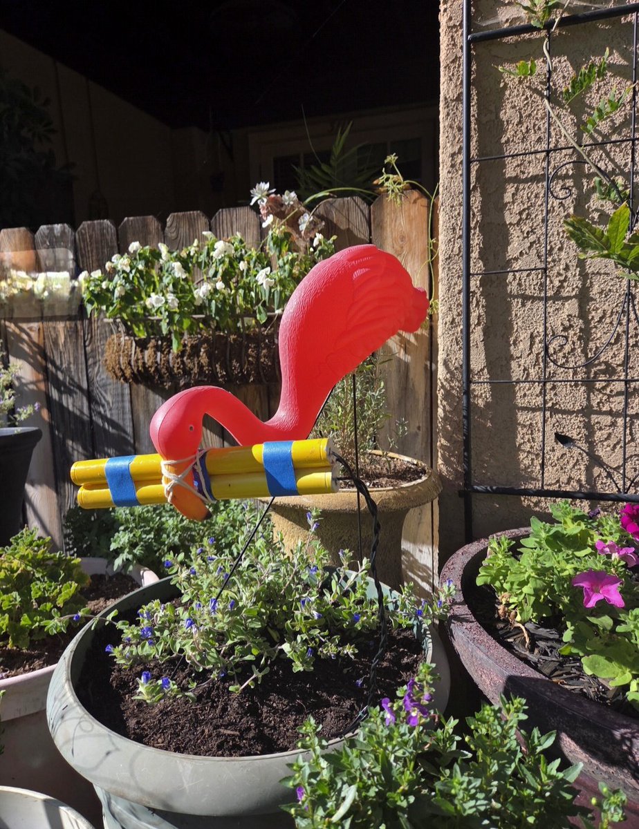 🔥 IT‘S FOLLOW A FELLA FRIDAY 🔥
🦩🦩🦩🦩🦩🦩🦩🦩🦩🦩🦩🦩🦩🦩🦩🦩🦩🦩🦩🦩
1️⃣ Like and retweet
2️⃣ Reply to this tweet
3️⃣ Go into replies and follow everyone 🐕🐕