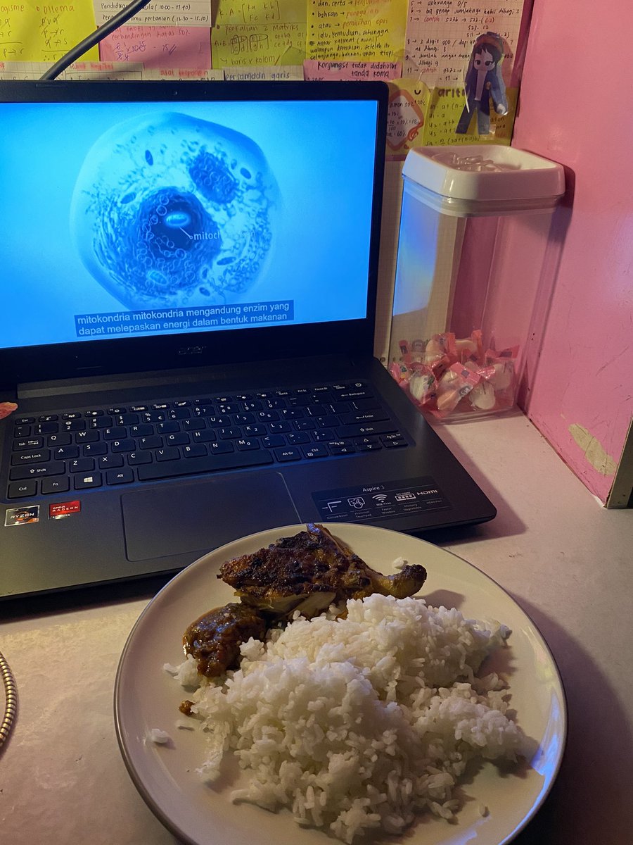 kaye²⁵🧁 tweet media