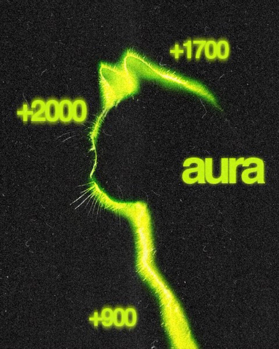 artsch00lreject's tweet photo. $AURA would look good on $HOOD ❇️💹 @vladtenev @RobinhoodApp https://t.co/6u5kRr23dr