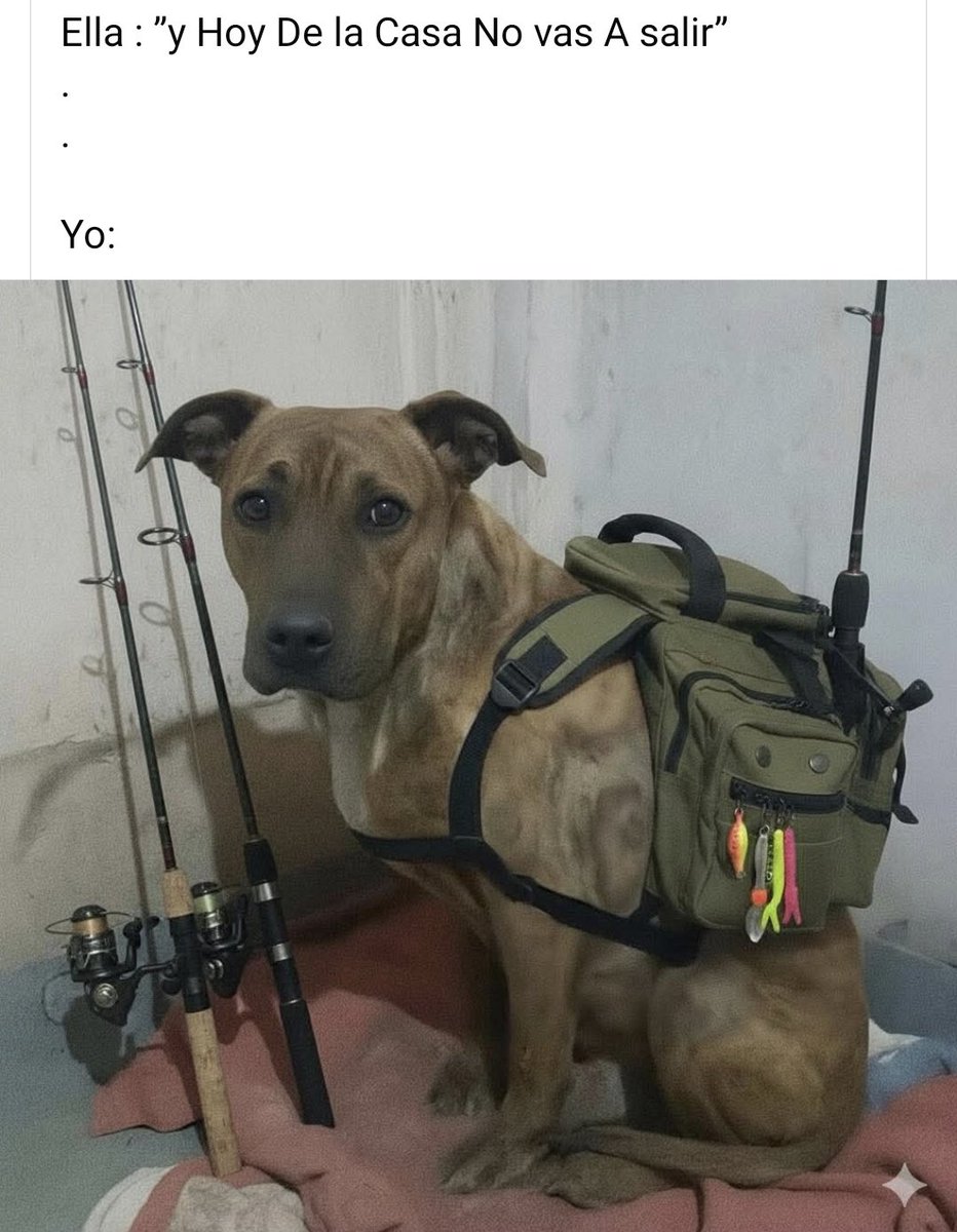 BlogPesca's tweet image. 