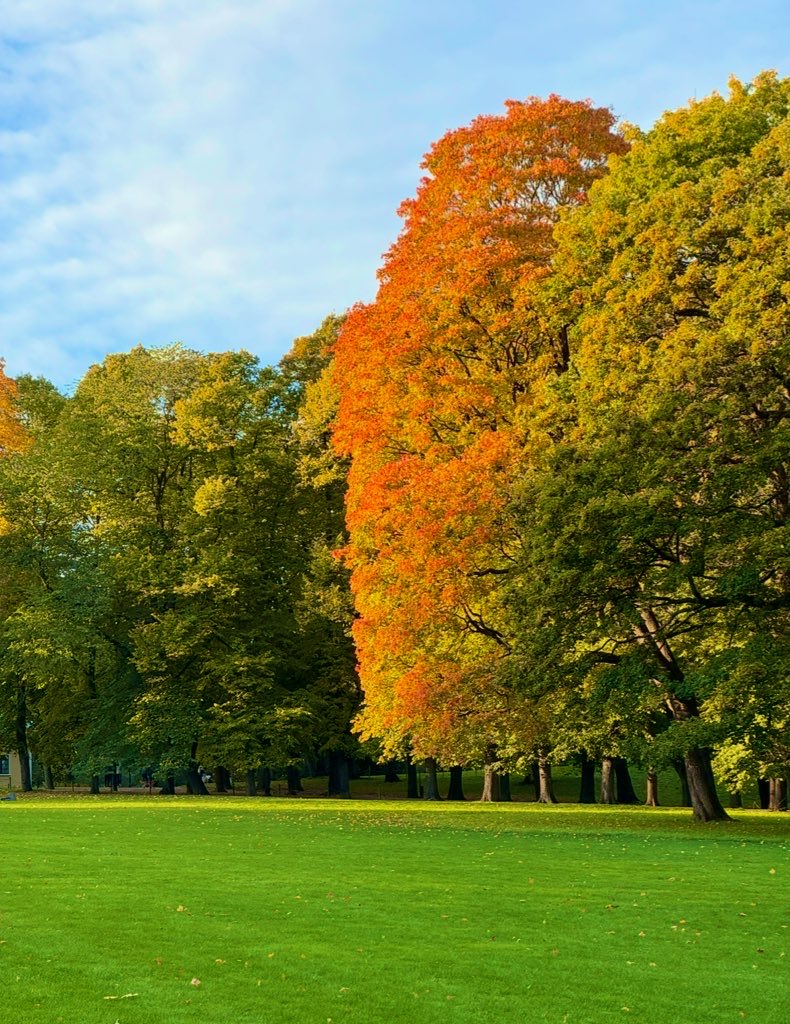 Neda95n's tweet photo. کارت پستال امروز🍁 https://t.co/AGilzL7Btp