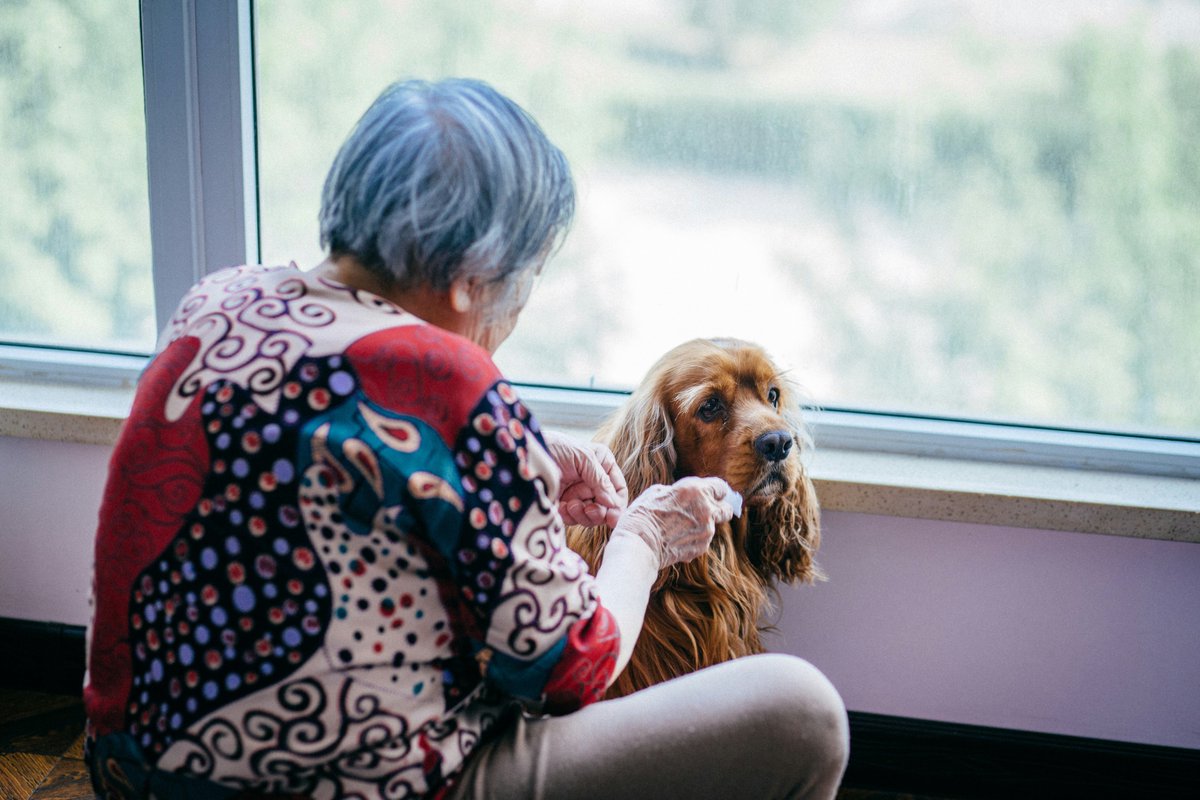 We've seen dogs, cats and even llamas visiting care homes and making residents happy! What pet have you taken in? 🐶🐱🦙