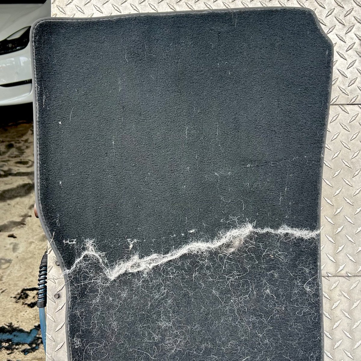 Pesky pet hair puts up a fight 🦾 Rising Tide #Parkland &amp; #Margate's  Express Interior cleaning services can help bring you one step ✨closer✨ to manageable (quickly &amp; on a budget)!