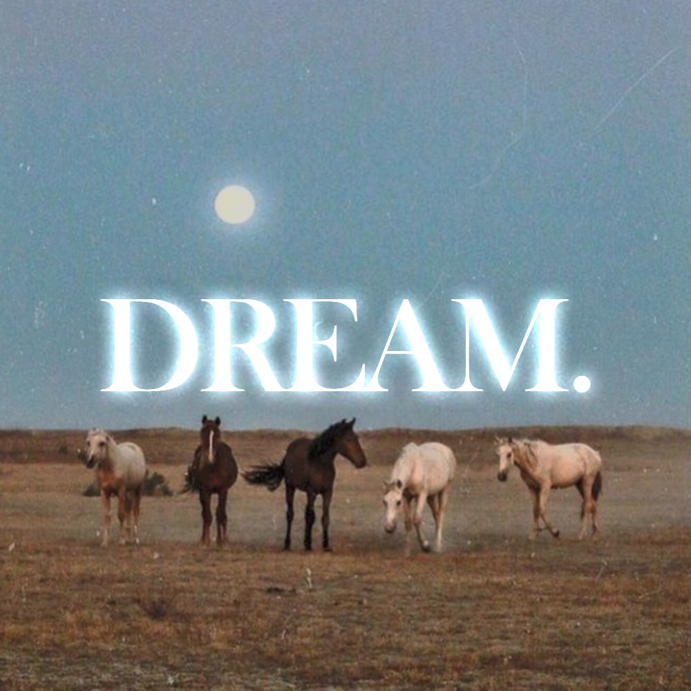 Have you forgotten how to dream?