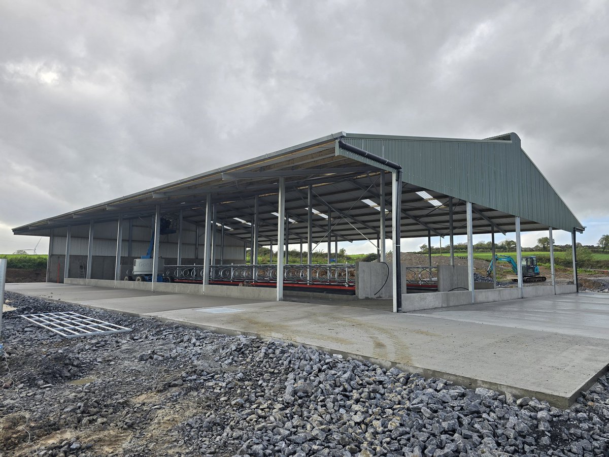 TB test passed
Bord bia audit passed
Finishing touches being applied to the shed

It's been a solid week🤝