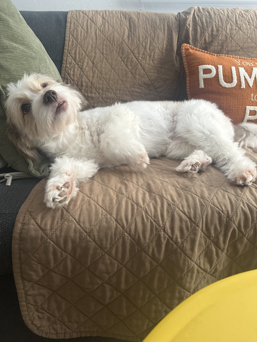 Pa’ ella? El mundo 😌🩵
#Dana