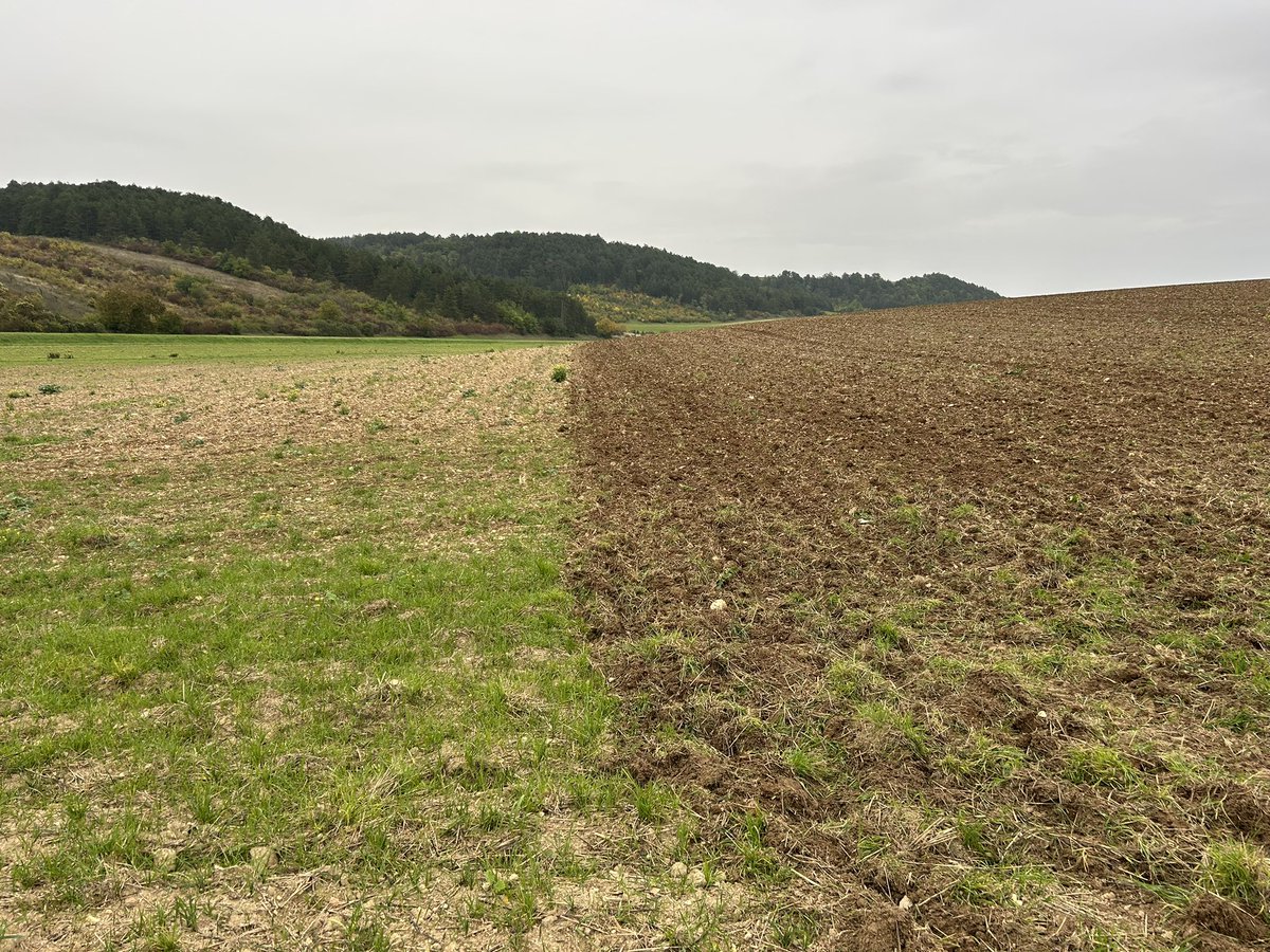 Emmanuel BONNIN tweet media