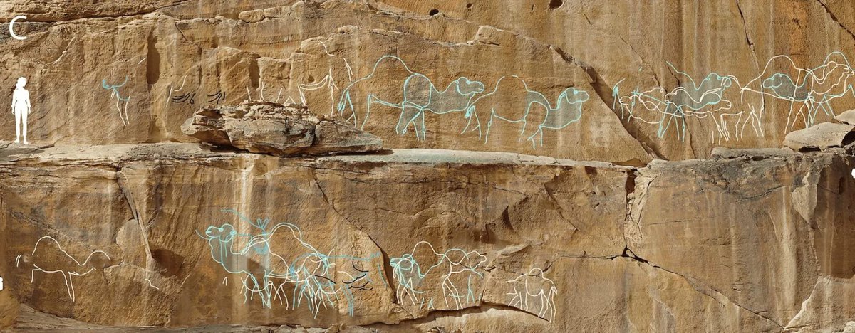 ASOResearch's tweet image. Our #ImageoftheWeek: 12,000 year old rock art panel of life-sized camels discovered in the Nefed Desert, Saudi Arabia. Orthophoto with tracings digitally outlined in color. Image source: M. Guagnin et al. 2025 (buff.ly/xdoGWW9). CC By 4.0.
#RockArt #SaudiArabia