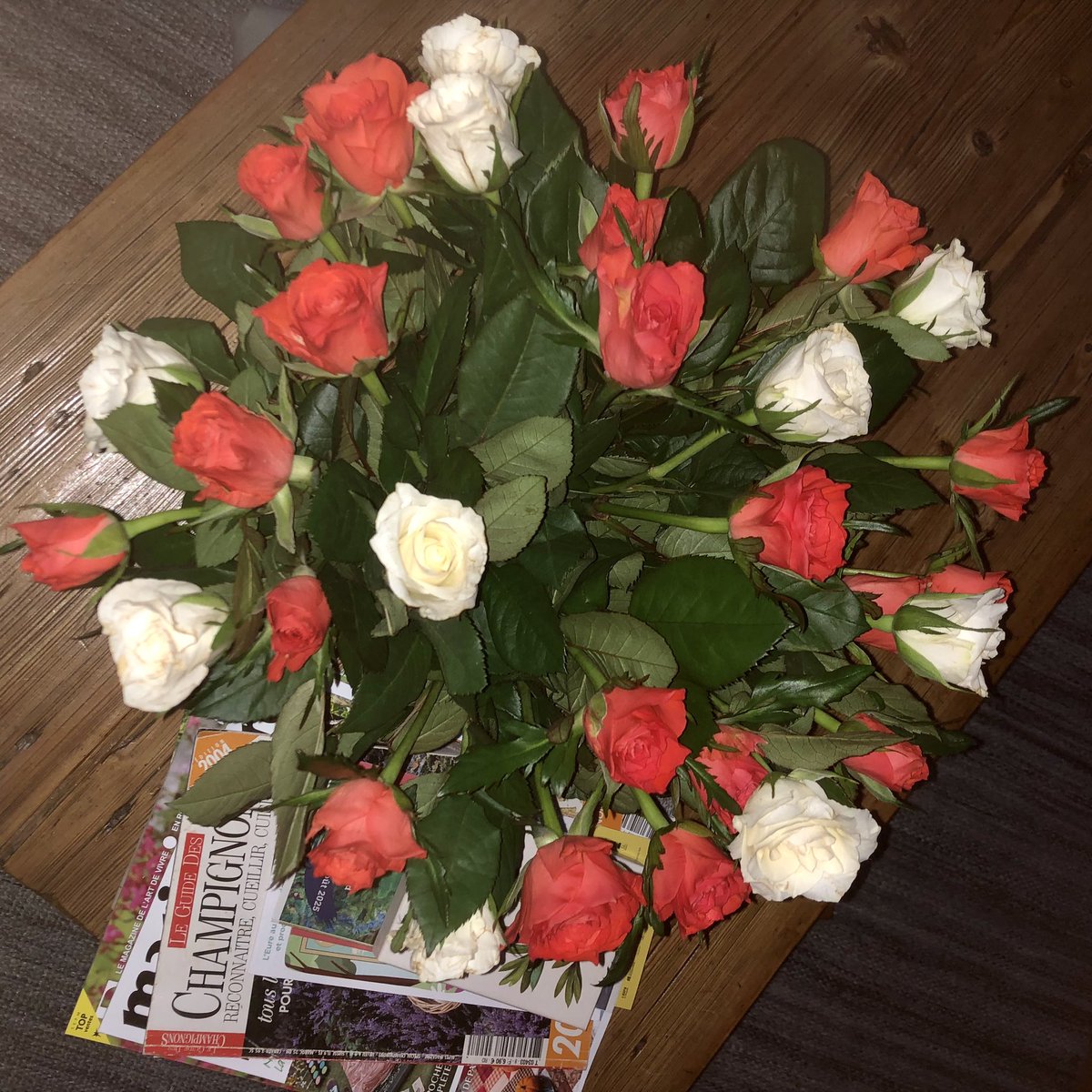 Bon et doux week-end automnale 🍂