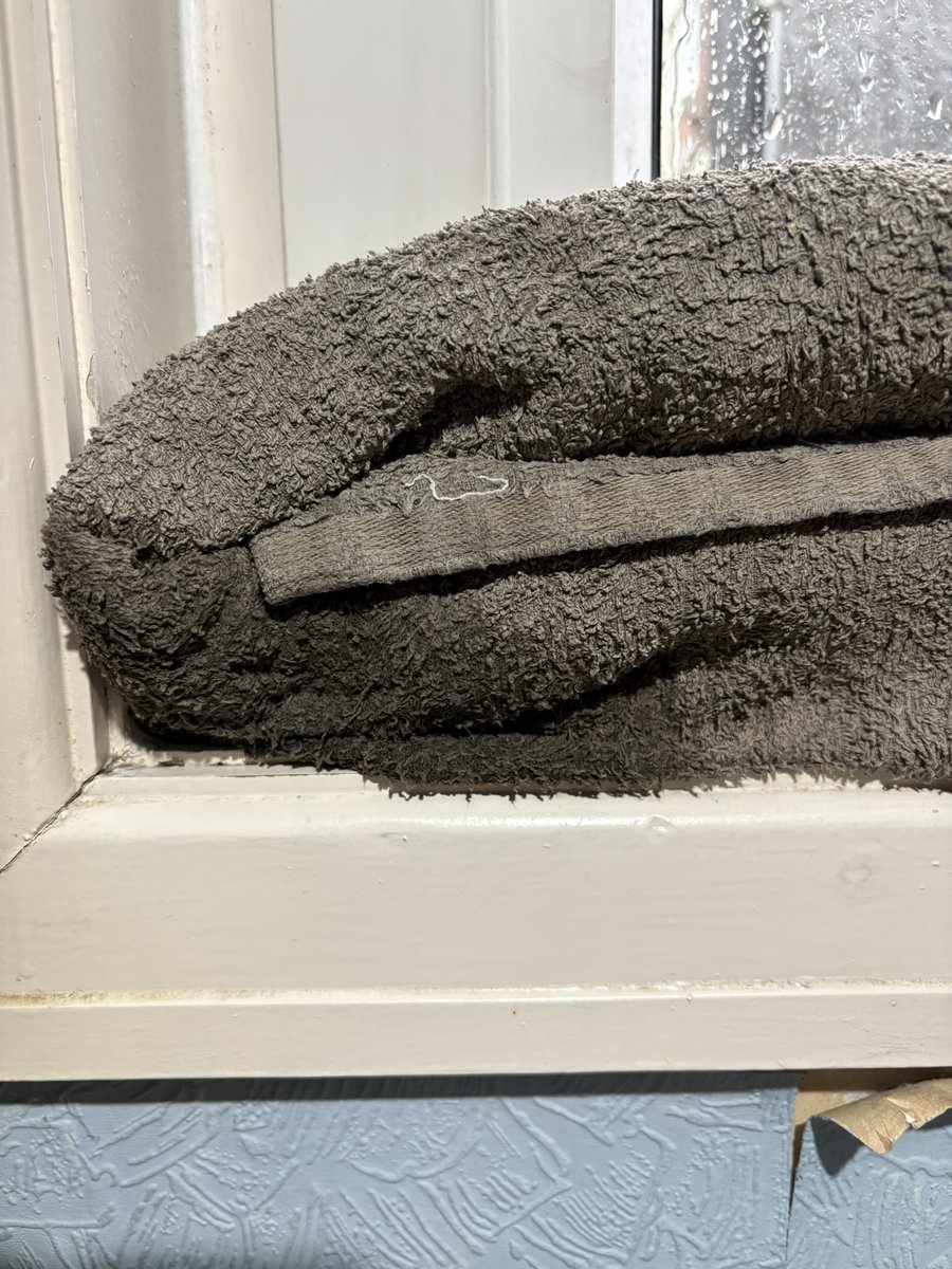 Andrew Roche is a Tenant 🐀 tweet media