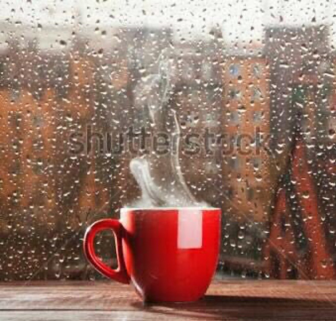 sitaravirgo's tweet image. DEEP THOUGHT
Never raise ur voice 
or try to increase 
it&apos;s volume,, 
it can be injurious 
for others and for
you as well 
Just improve the 
quality of your Argument
⚡️❤️🌙⚡️❤️🌙
This Is a Theory Of Life
#GOODNIGHT 
#s_group 
#sitaravirgo 
#herbalTea