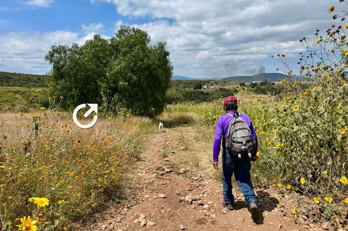 Sucesos | Una mujer de unos 76 años, vecina de la comunidad de La Solana  San Juan, Santa Rosa Jáuregui, falleció luego de un accidente de carreta  cuando realizaba labores en el