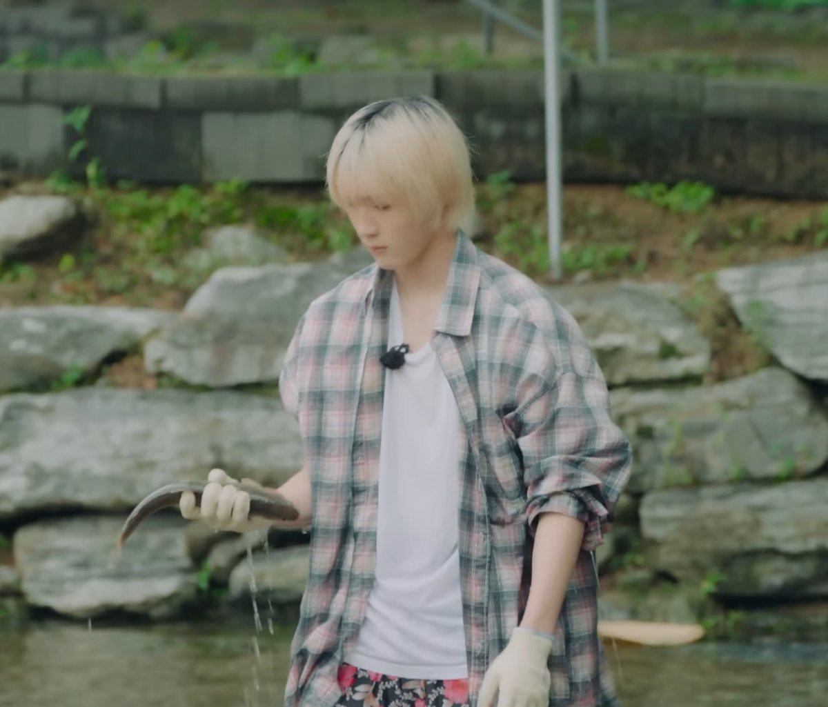 bunny ૮ ·͈༝·͈ა tweet media