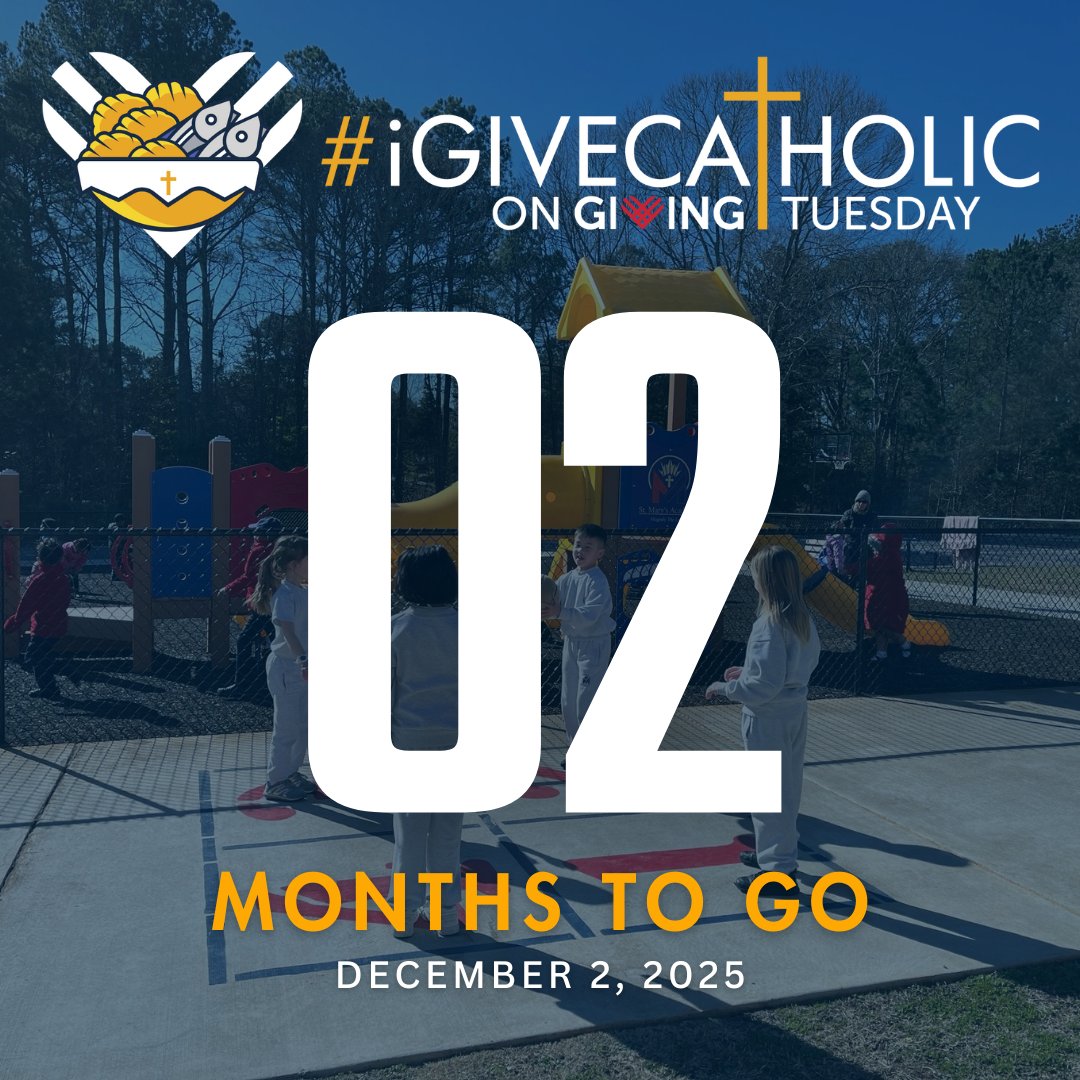 Catholic Foundation of North Georgia tweet media