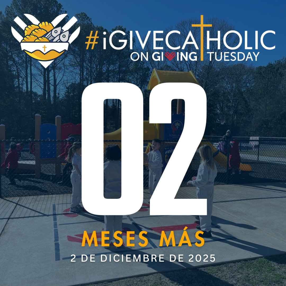 Catholic Foundation of North Georgia tweet media