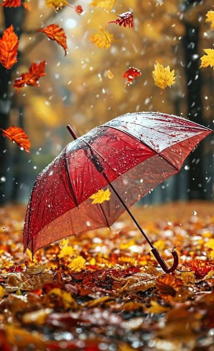 craiyoung's tweet image. youtu.be/W8r-tXRLazs?li…