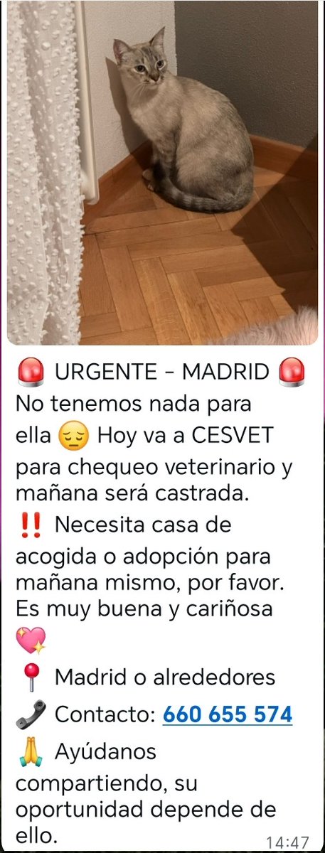 #ESPAÑA #Madrid EXTERNO¡Por favor Compartid¡