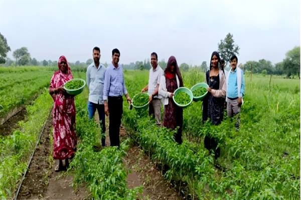 प्रदेश में वाटरशेड नवाचार से सब्जी उत्पादन से संवर रही किसानों की तकदीर

- 14 जिलों के 3000 किसान उठा रहे प्रधानमंत्री कृषि सिंचाई योजना का लाभ
RM -shorturl.at/Q8nJZ 

<a href="/DrMohanYadav51/">Dr Mohan Yadav</a> <a href="/JansamparkMP/">Jansampark MP</a> 
<a href="/tulsi_silawat/">Tulsi Ram Silawat</a> 

#JansamparkMP
