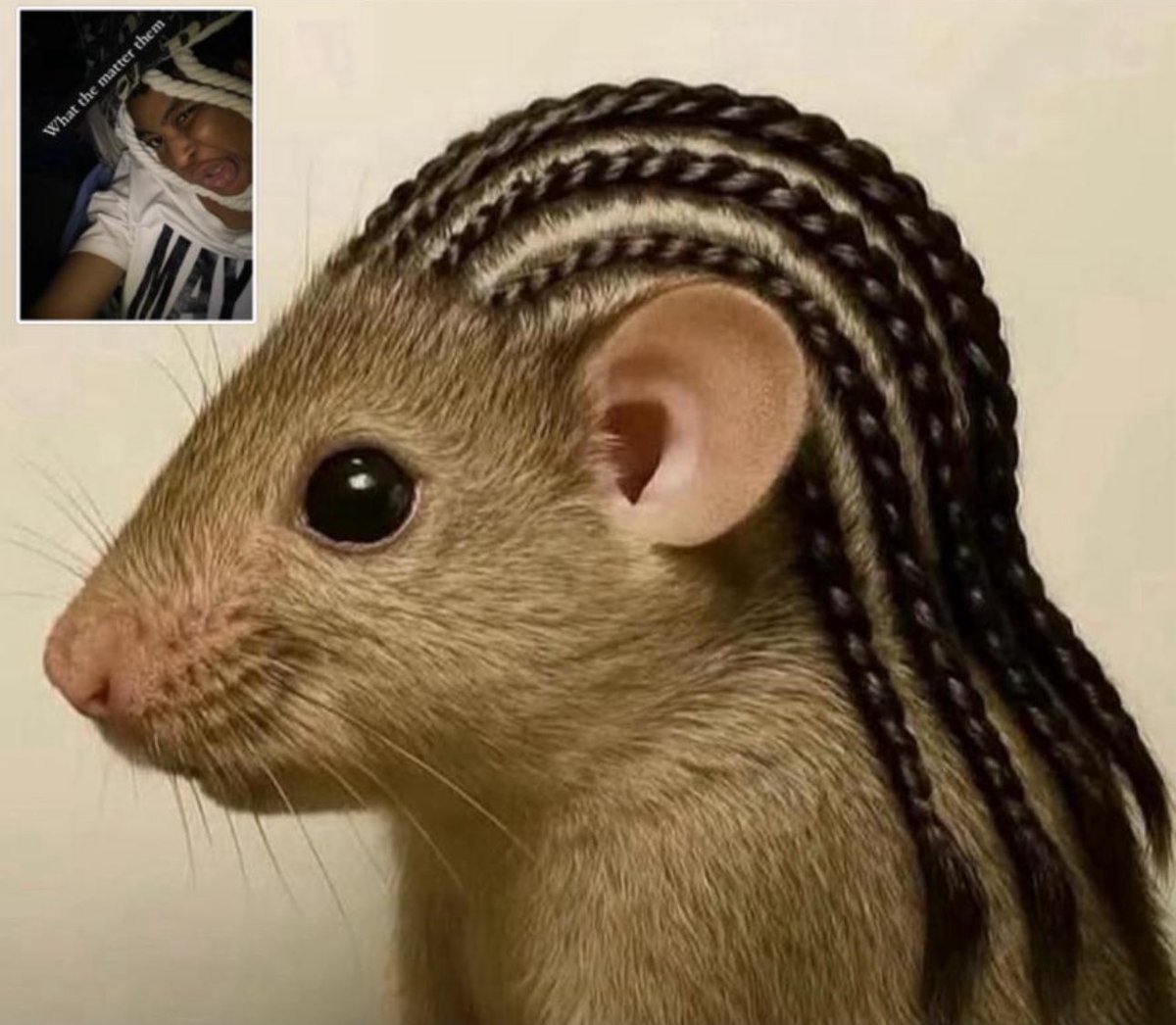 How men see their girlfriends when they get a side chick.