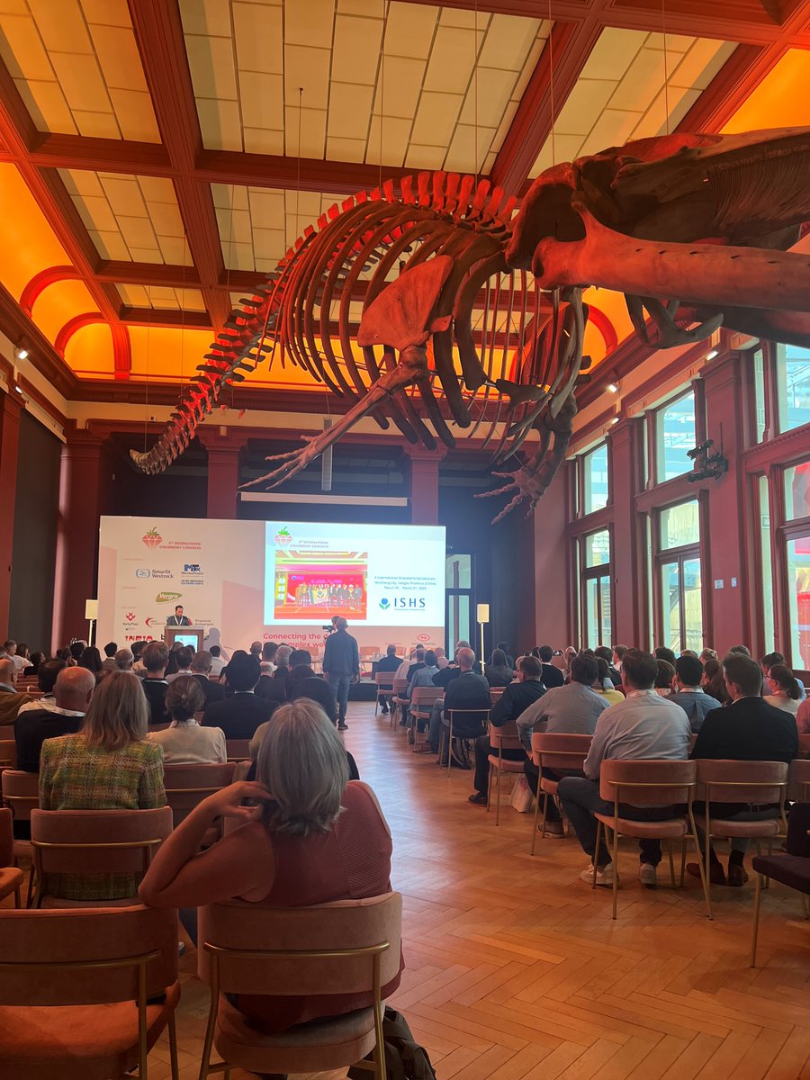 International Strawberry Congress
#Antwerp, #Belgium, 17-20 September 2025

<a href="/PrimesoftE/">PRIMESOFT_Horizon Europe</a>  presentations by <a href="/CyUniTech/">Cyprus University of Technology</a> group
 
✅ The application of priming agents as an alleviation strategy to combat salinity stress in strawberry plants: a physiological, biochemical and