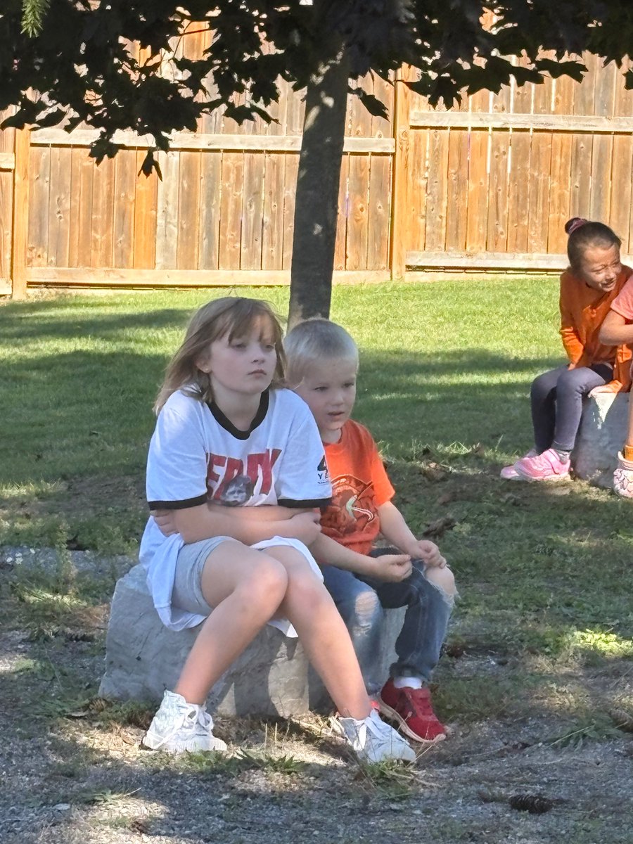 St. Stephen's tweet media