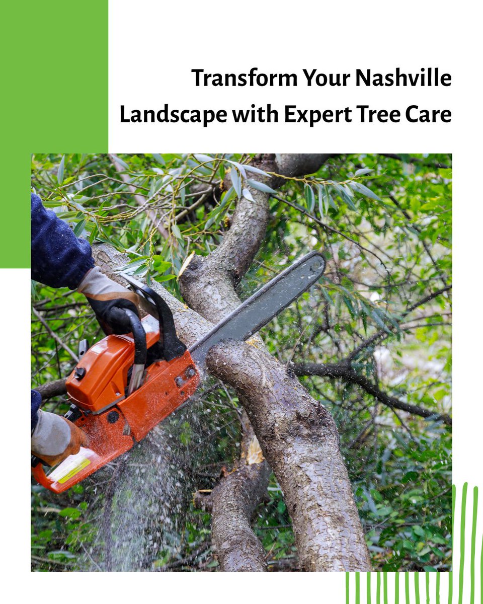 SmithWorksTree's tweet image. Enhance your property with Smith Works Tree Service—Nashville’s experts in tree trimming, removal, and sustainable care. Achieve beauty, safety, and value for your landscape. Learn more: smithworkstreeservicenashvilletn.com

#NashvilleTreeService #SmithWorksTreeCar