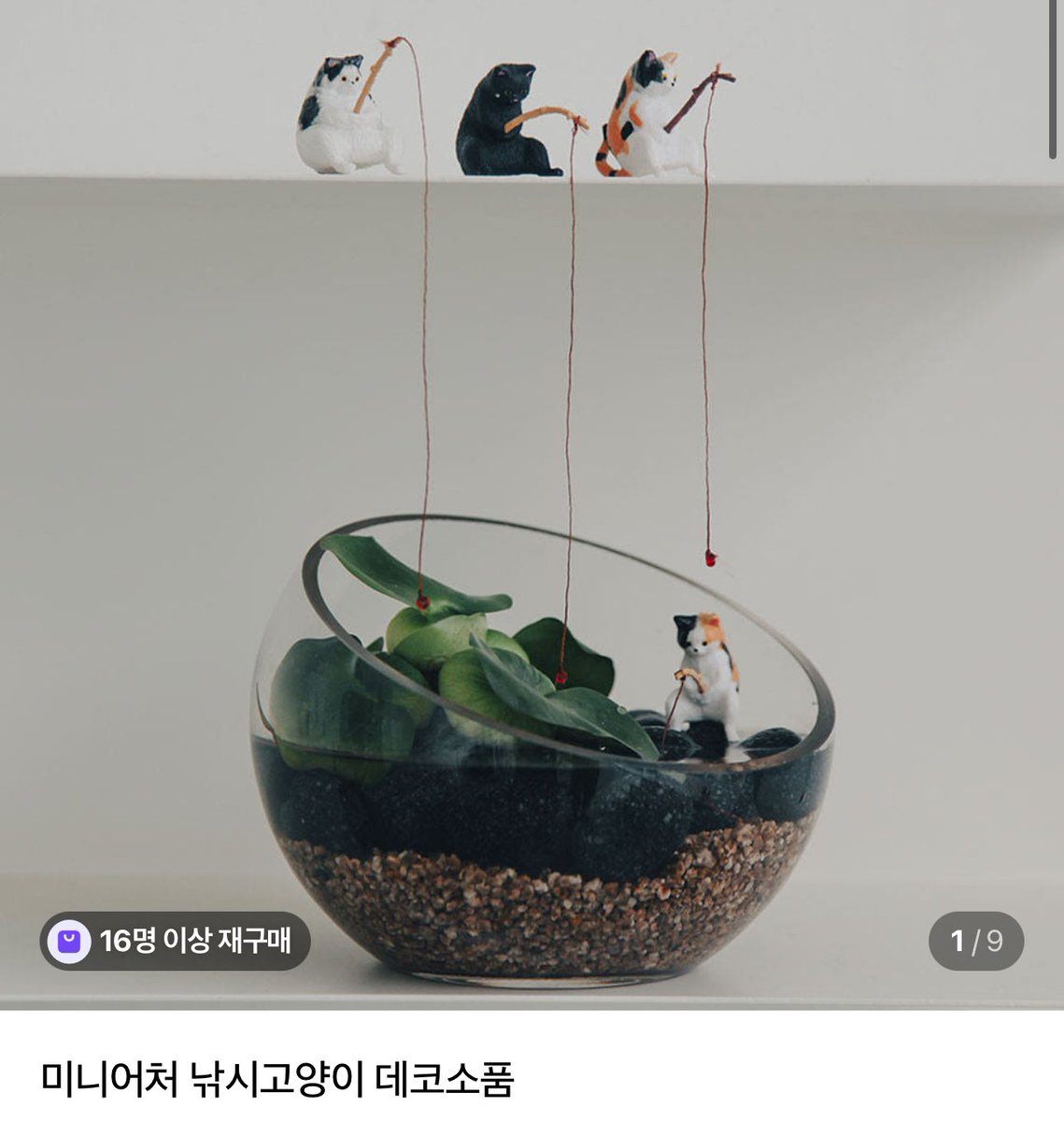 dw_mohaeyo's tweet photo. 나혼산에 인테리어 소품들 찾아보니까 죄다 식물관련 아이템들이야 ㅈㅉ 너무 투명하고 귀여워…. https://t.co/n512AeVnky