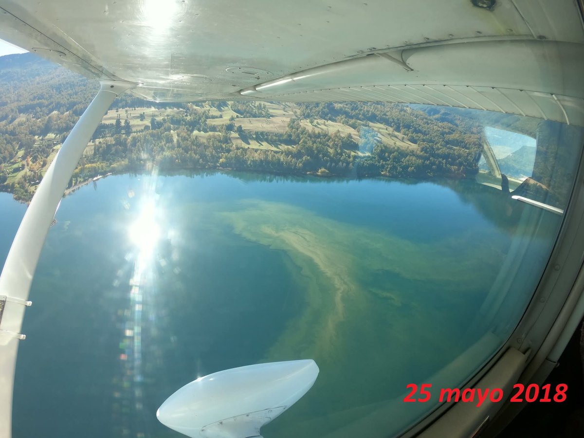 Proyecto clasificación magnitud espacial bloom algas lago Villarrica 1993-2025 con apoyo satelital (4 grados). Esto permitirá clasificarlos de menor a mayor gravedad y hacer seguimiento avance plan descontaminacion <a href="/marcelomena/">Marcelo Mena-Carrasco 🚲♻️ 🇨🇱</a> <a href="/MMAChile/">Ministerio del Medio Ambiente</a> <a href="/AshokaChile/">Ashoka Chile</a>