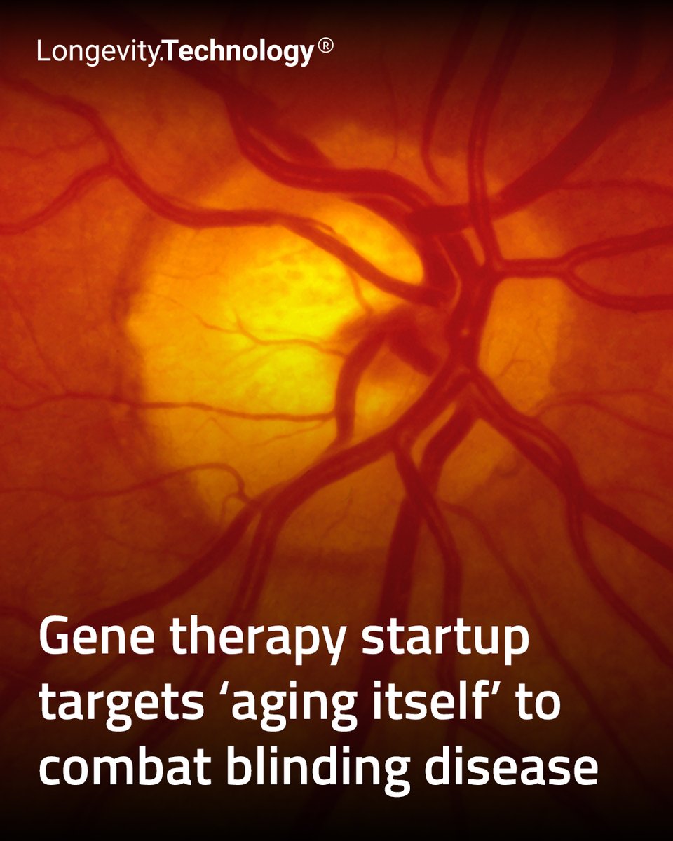 LongevityTech's tweet image. Cirrus Therapeutics lands seed funding to advance gene therapy designed to prevent and reverse dry AMD by rejuvenating the retina.
longevity.technology/news/gene-ther…
#longevity #aging #biotech #visionloss #dryAMD #genetherapy #investment