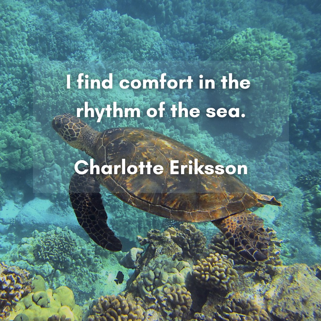 #QuoteOfTheWeek #HappyFriday
#EatLikeRoyalty 🌊🦀🦞🦐🐟