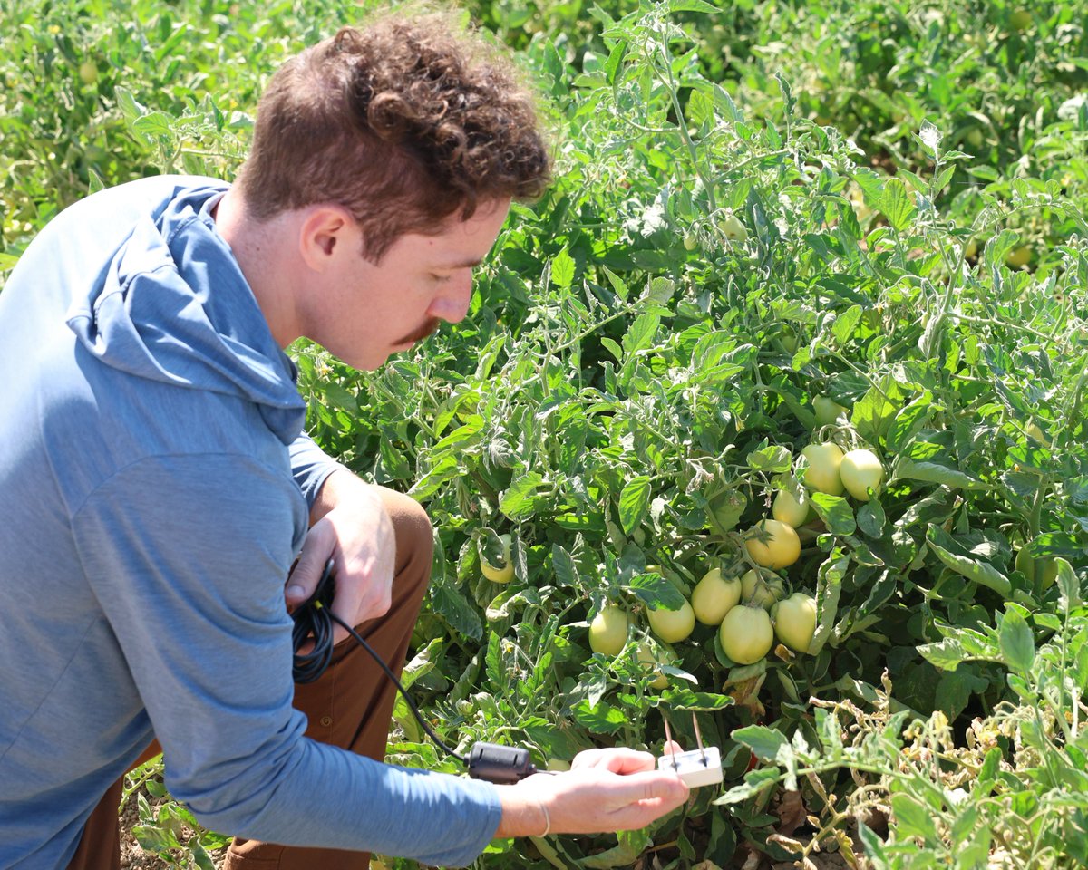 Happy National Farmers Day!
We want to honor farmers who grow our food and textiles. They provide for small and big communities worldwide, and have been making efforts to improve sustainability on top of all that!

Thank you, farmers! 🐑🌽

#NationalFarmersDay #apogeeinstruments