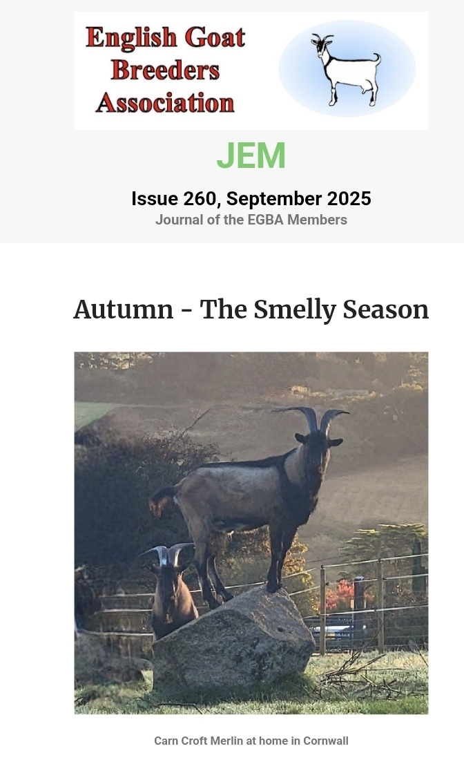 English Goat Breeders Association tweet media