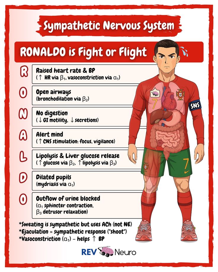 Ronaldo is not the goat 🐐
He is sympathatic nervous system