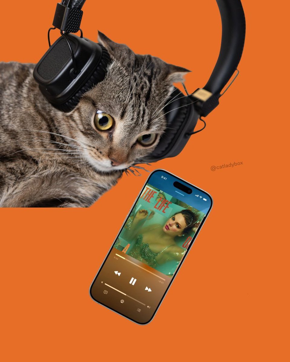 CatLadyBox tweet media