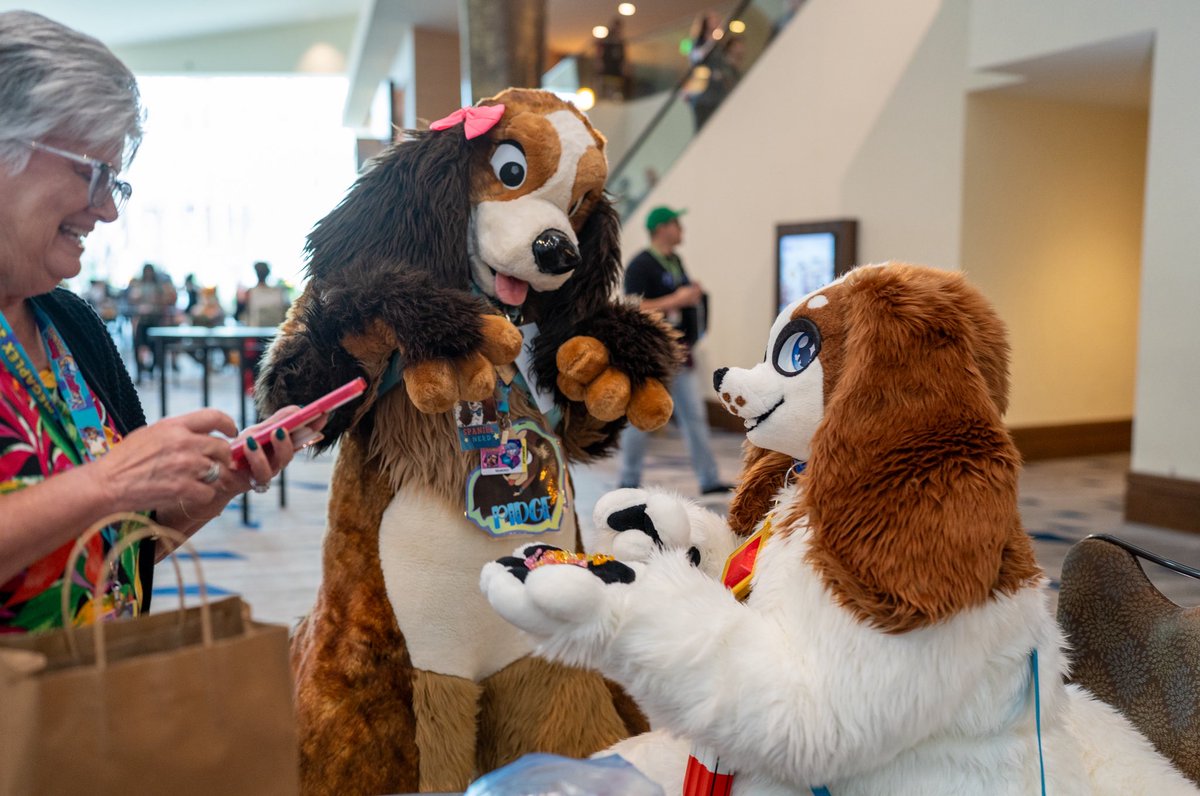 oh_pidge's tweet photo. It’s always nice seeing familiar faces again! Happy #fursuitfriday 
🐶: @sunniespaniel 
📸: @ItsRokko https://t.co/NW8A3EYSLe