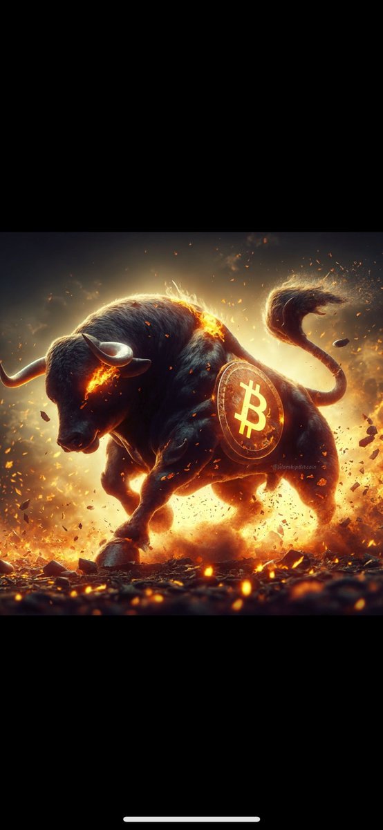 THE BIGGEST BITCOIN BULL RUN IN HISTORY HAS BEGUN. 🚀